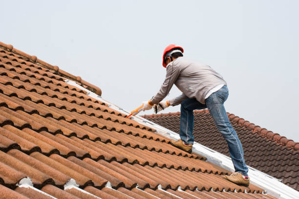 Best Rubber Roofing (EPDM, TPO)  in Breckenridge, CO